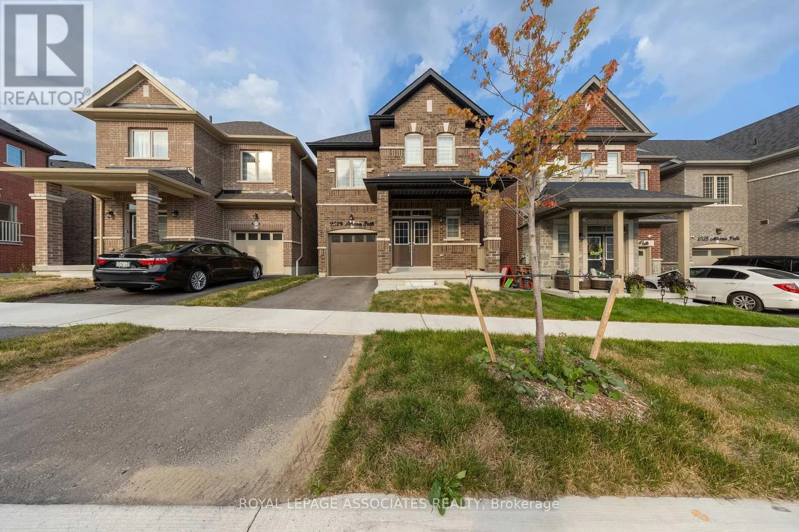 2529 ATHENA PATH