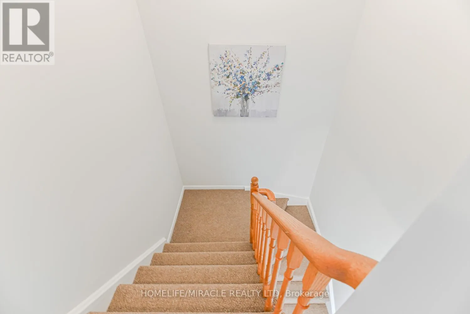 52 MCGONIGAL LANE