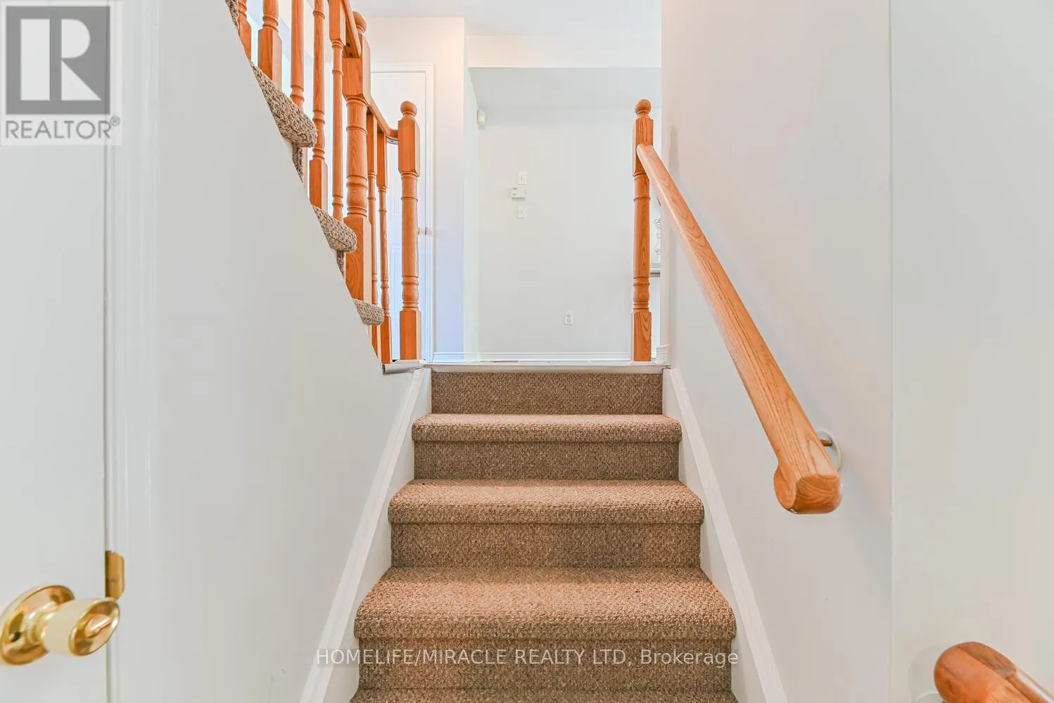 52 MCGONIGAL LANE