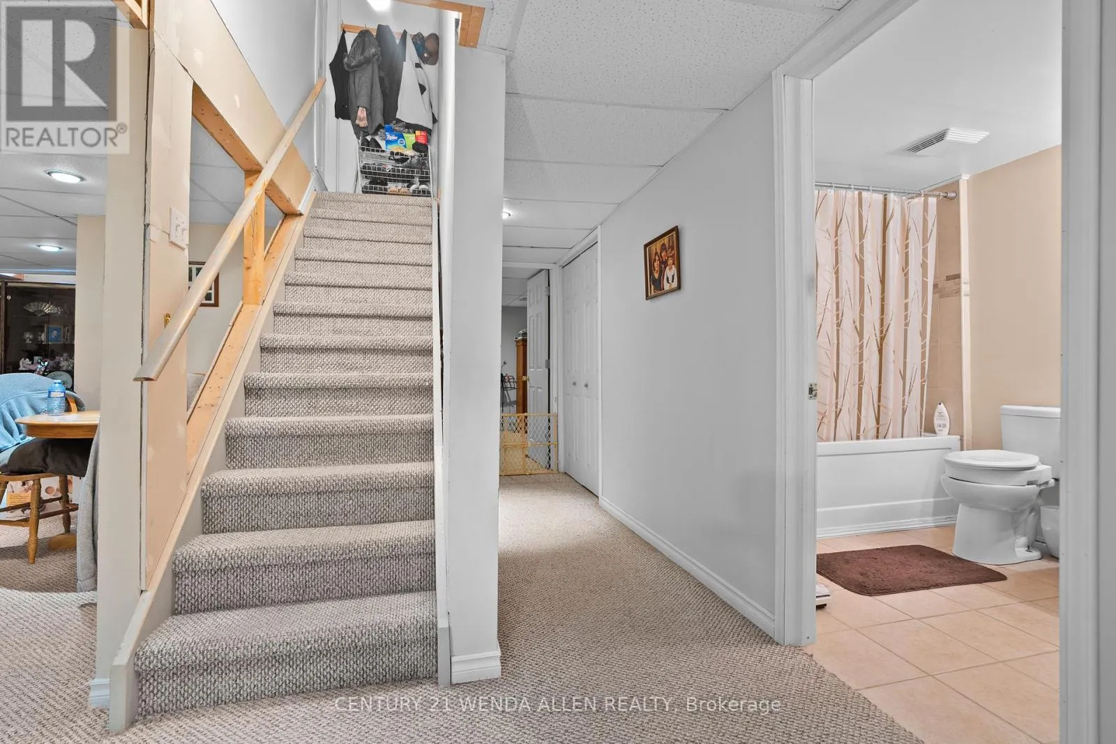 6 HAMMOND STREET