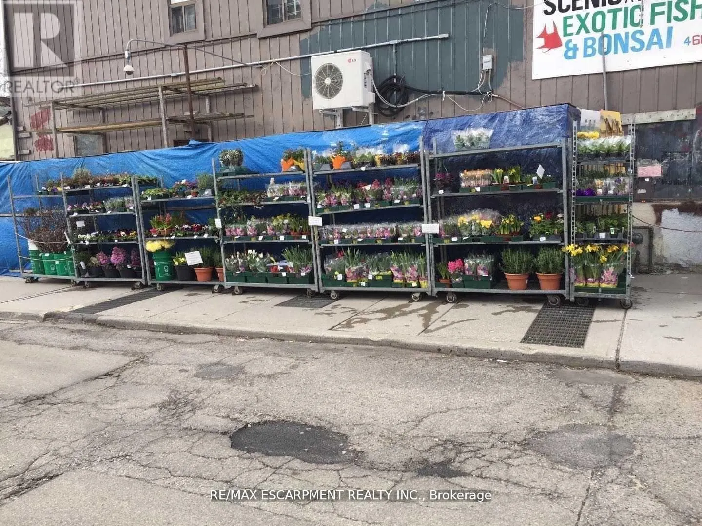 673 GERRARD STREET E