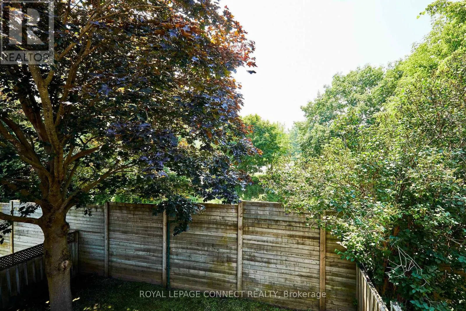 42 ELEPHANT HILL DRIVE