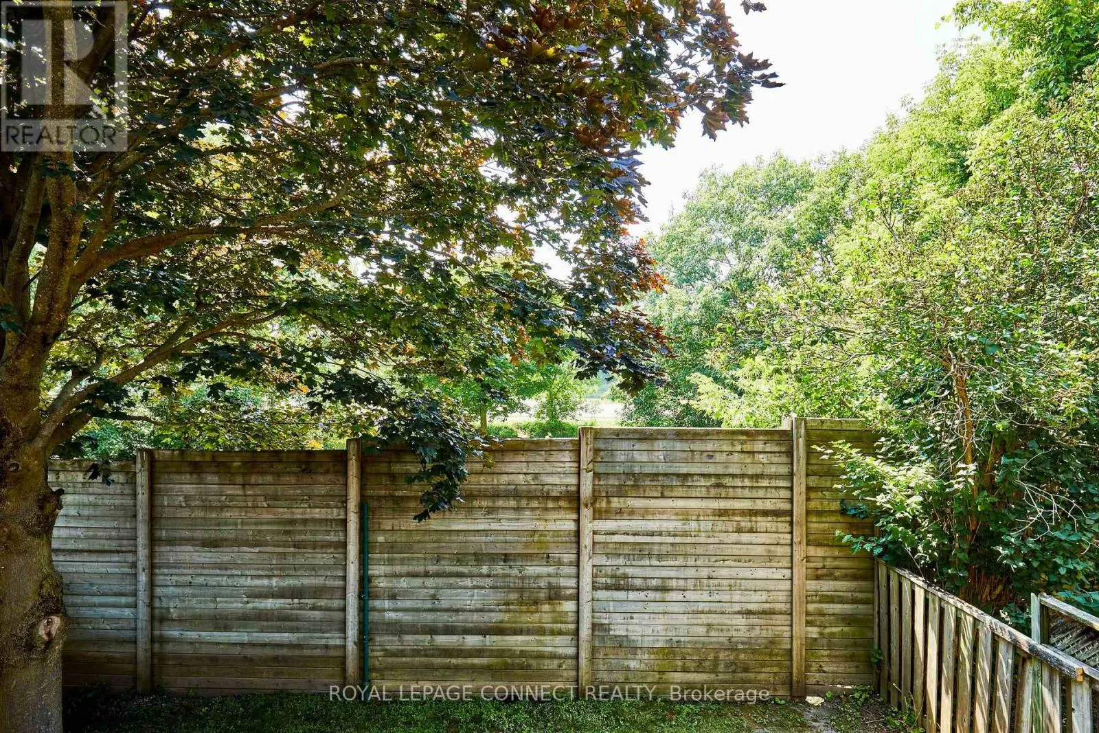 42 ELEPHANT HILL DRIVE