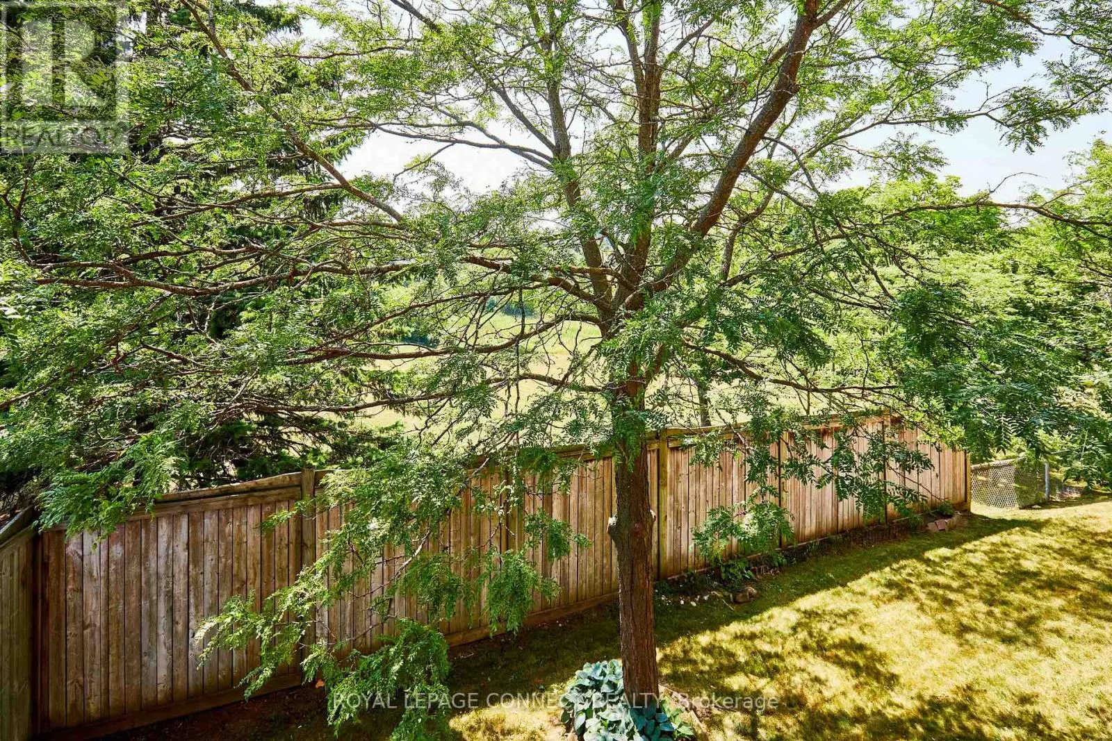 31 - 575 STEEPLE HILL