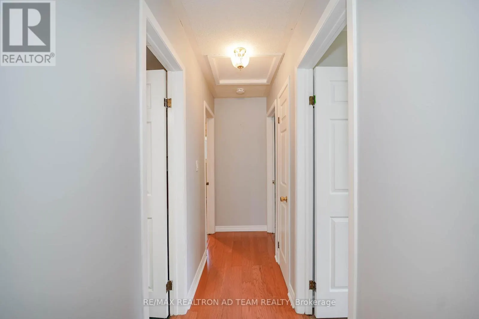 20 LITTLE AVENUE