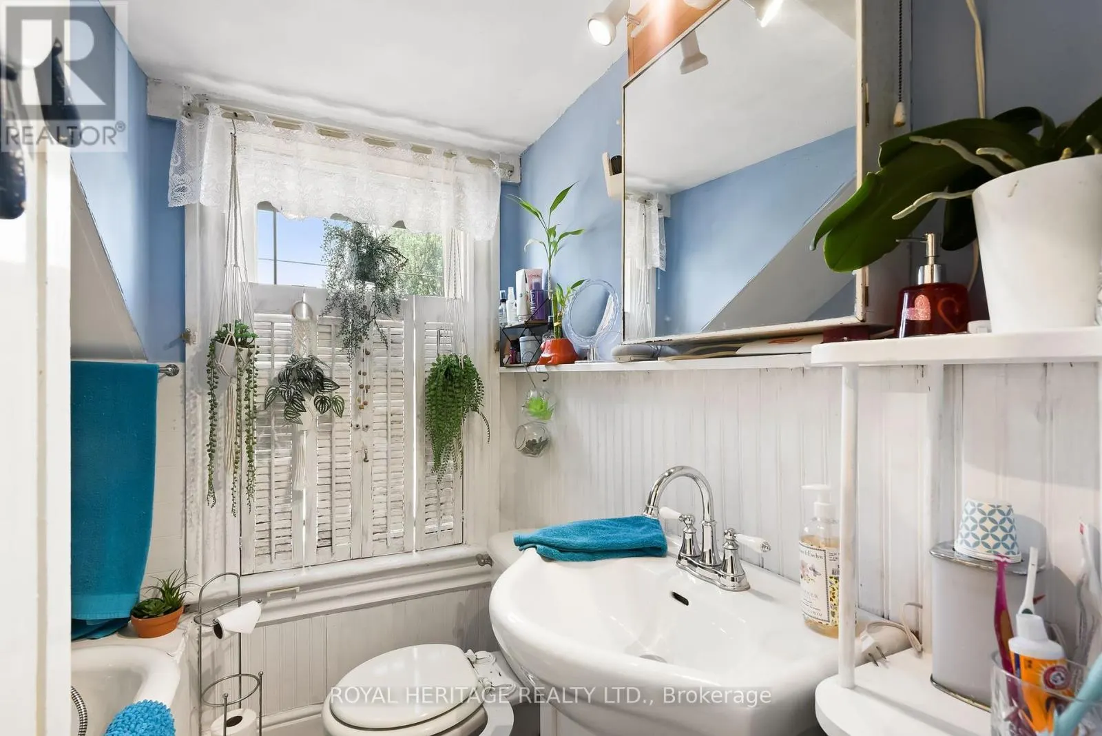 115 ELGIN STREET