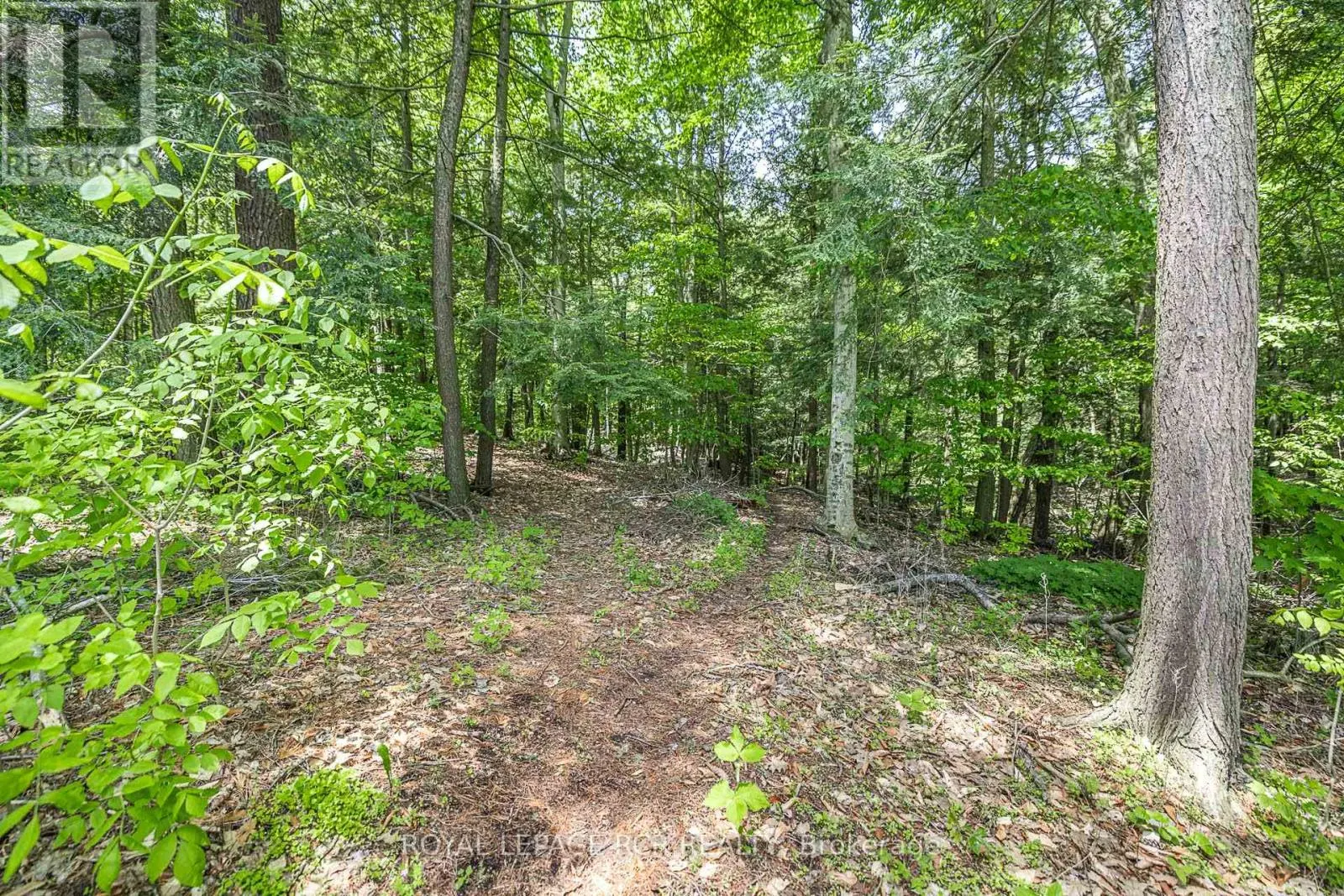 154 PINE POINT LANE