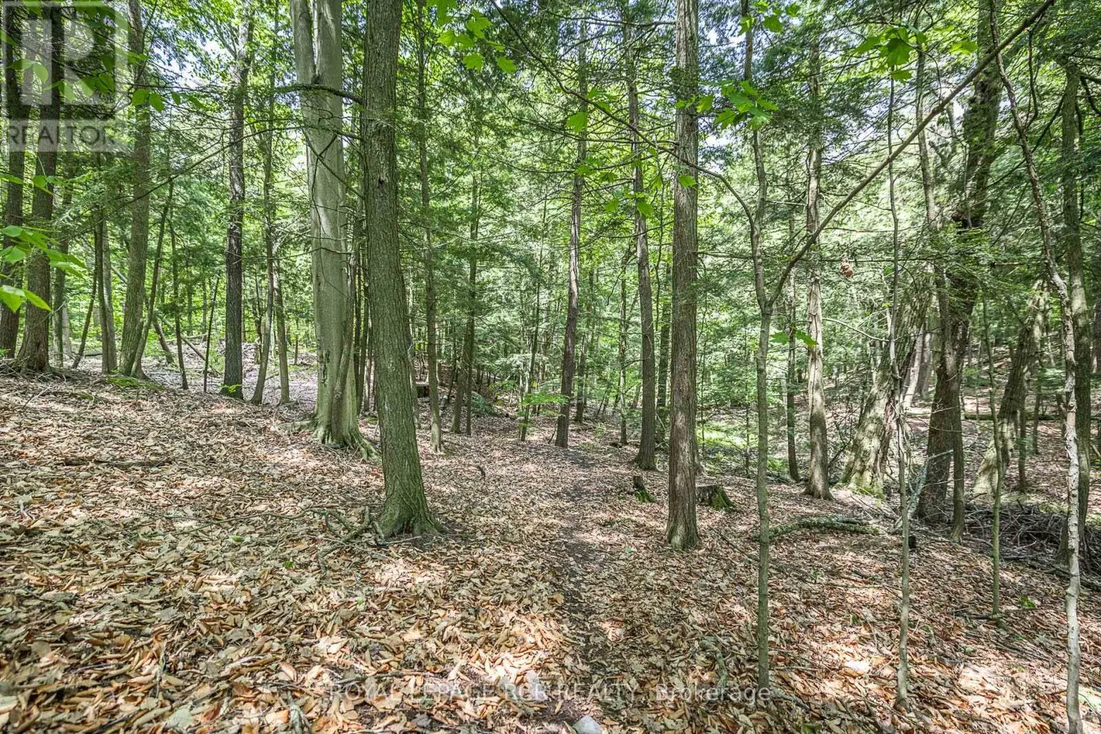 154 PINE POINT LANE