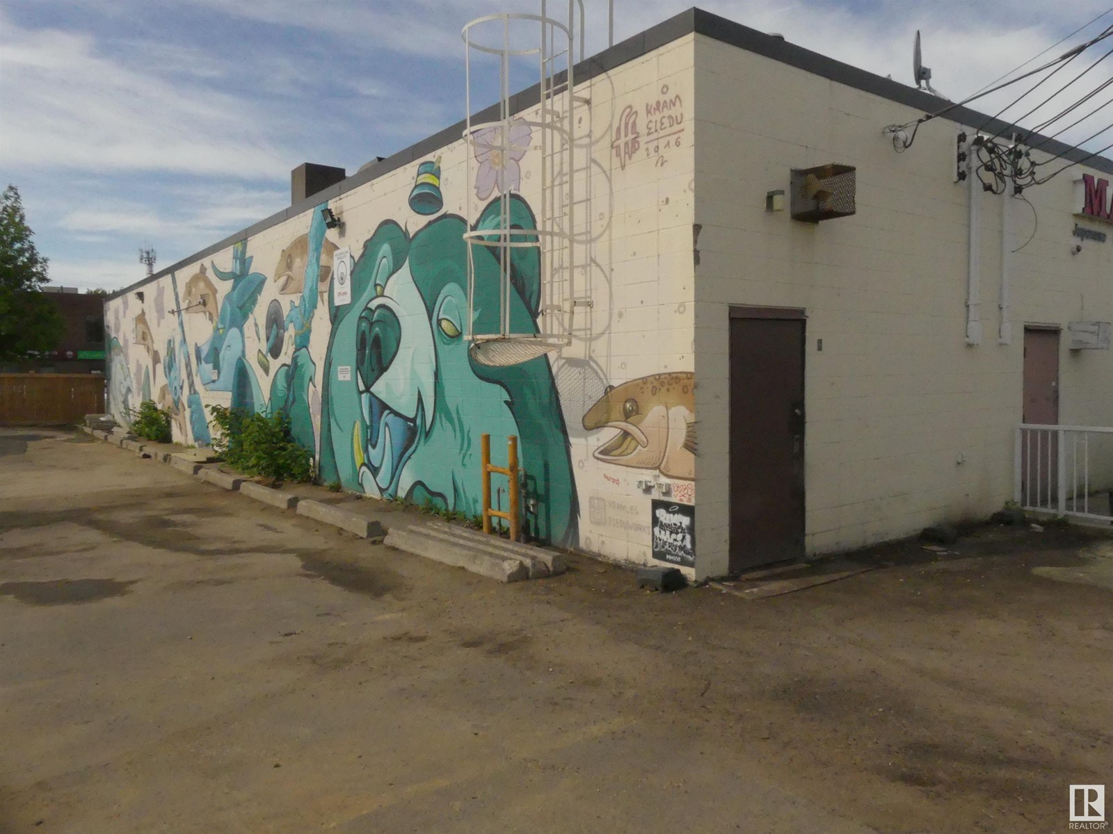 Listing E4299505 - Large Photo # 5