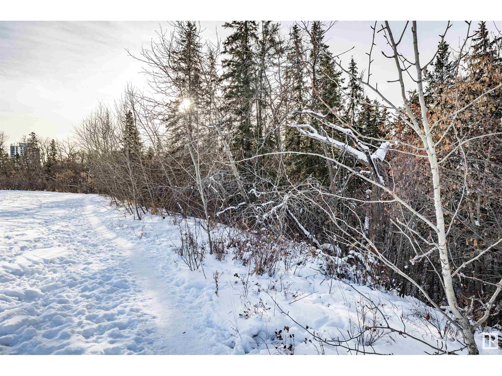 Listing E4325180 - Large Photo # 16