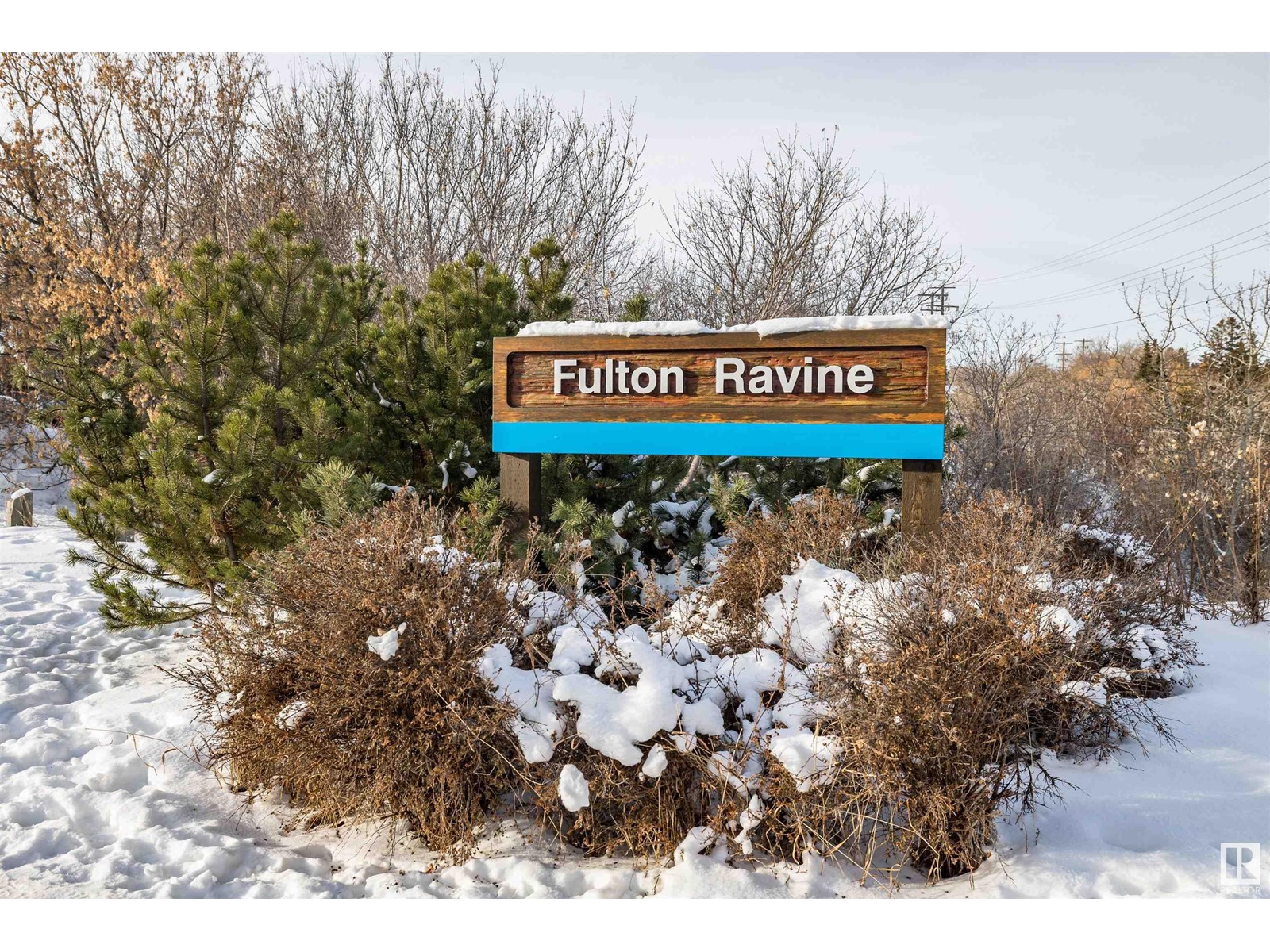 Listing E4325180 - Large Photo # 15