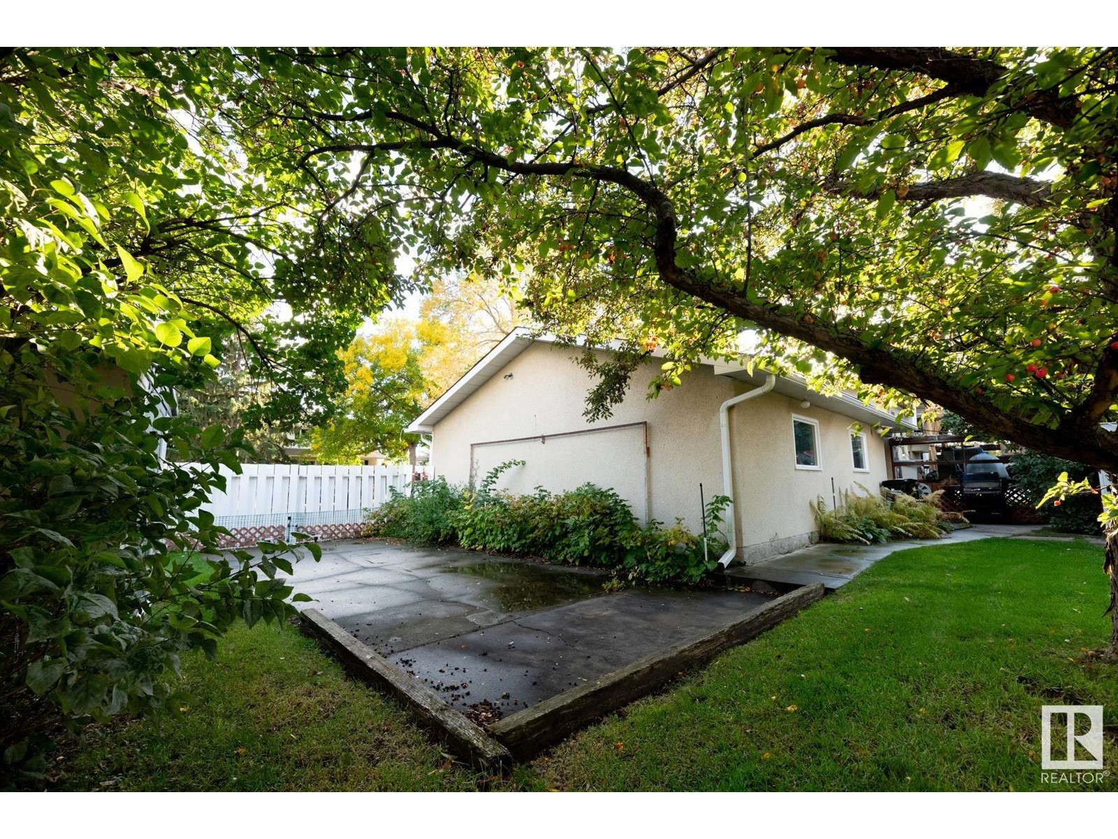 1003 Adamson CR