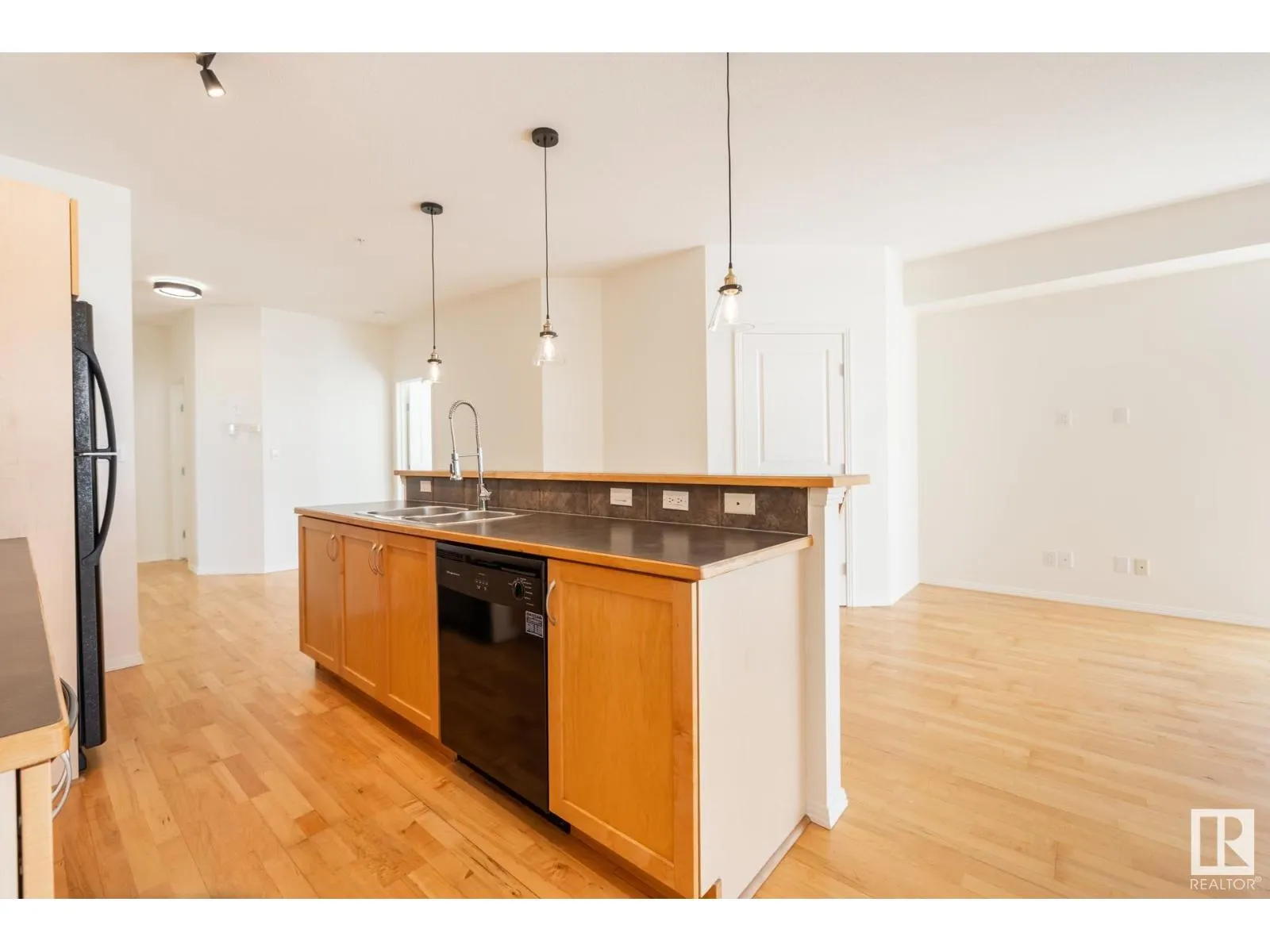 #409 10503 98 AV NW