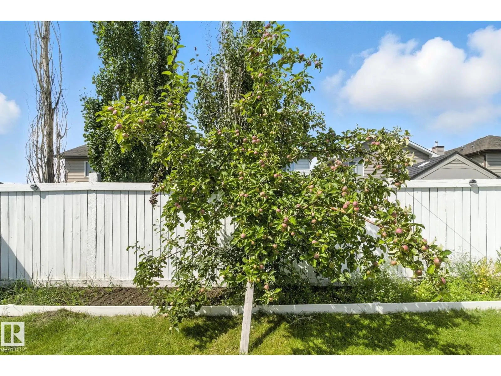 3368 24 AV NW