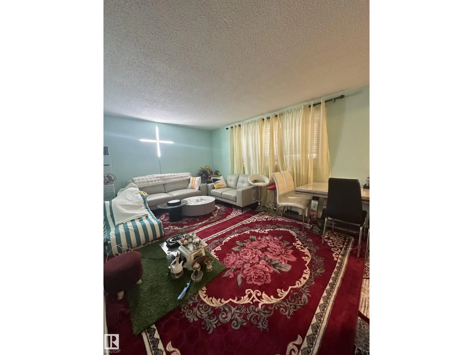 #6 10640 111 ST NW