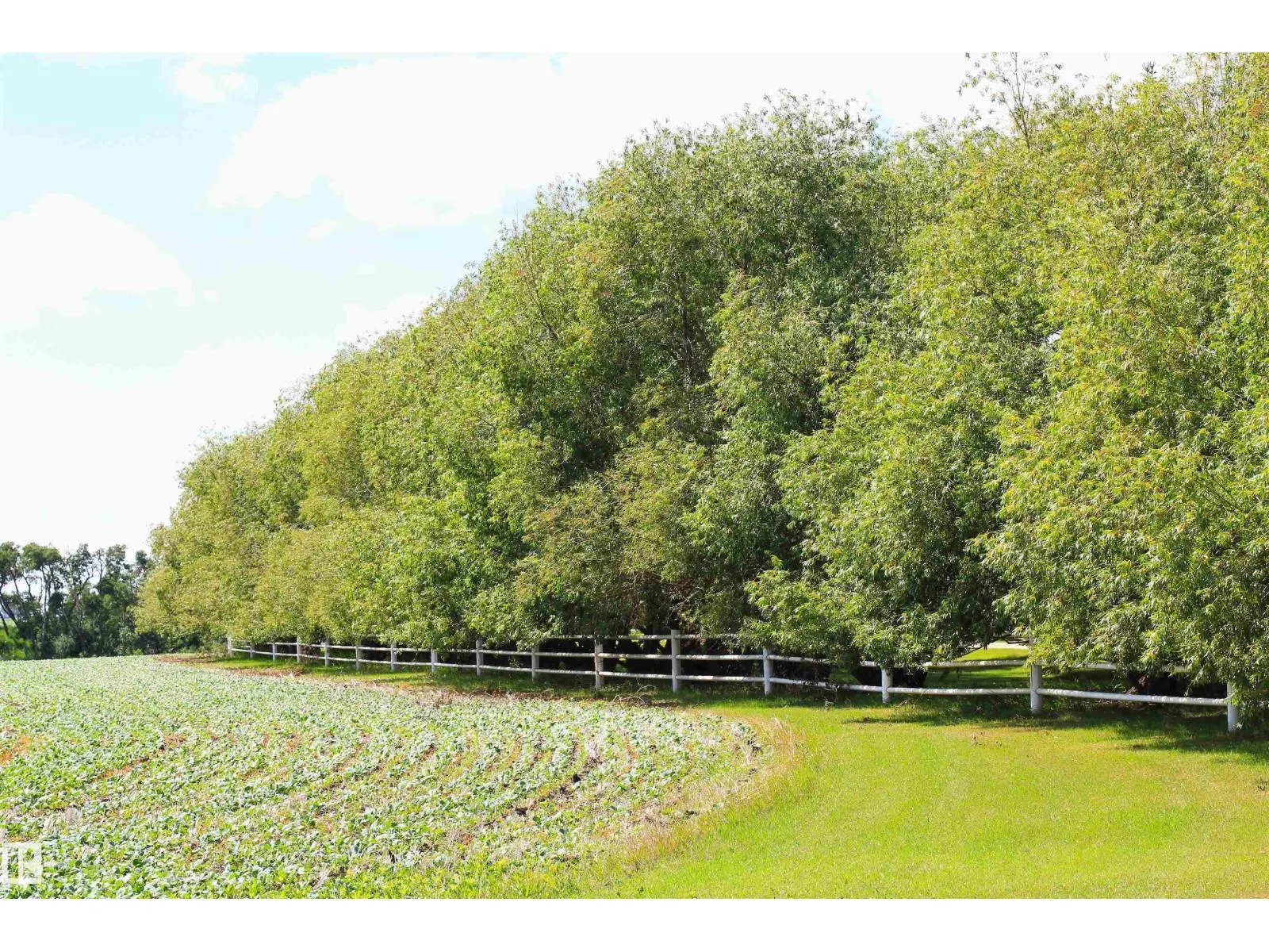 9610 167 ST SW