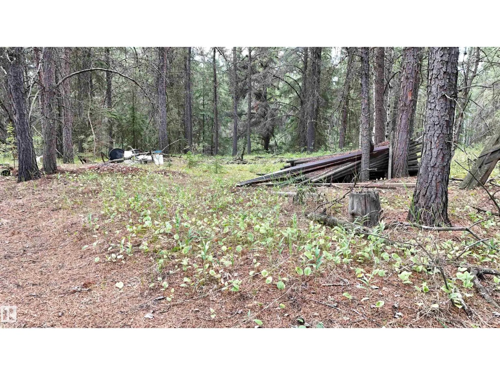 Twp 573 Range Road 181