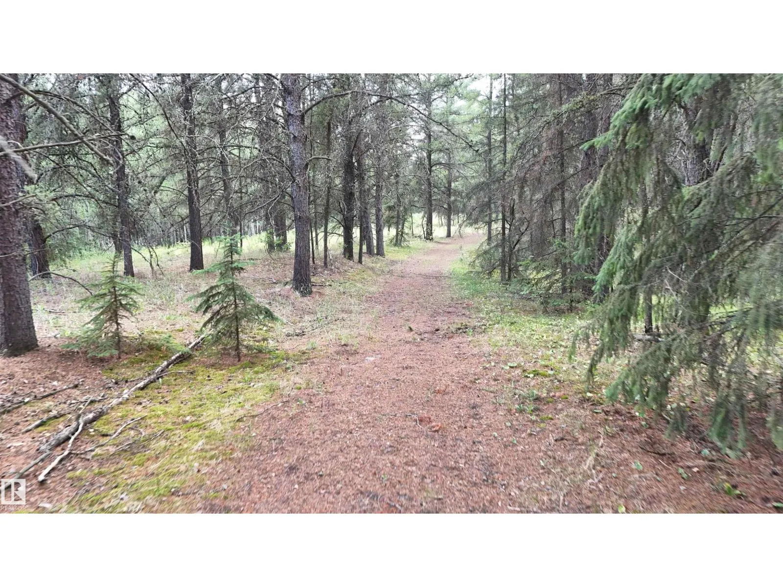 Twp 573 Range Road 181