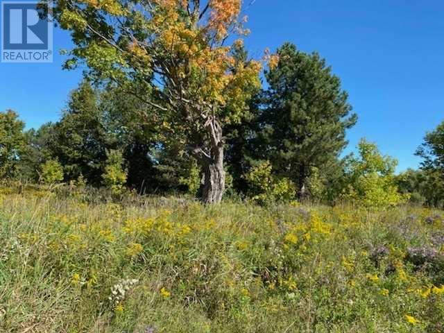 Listing E5783762 - Large Photo # 4