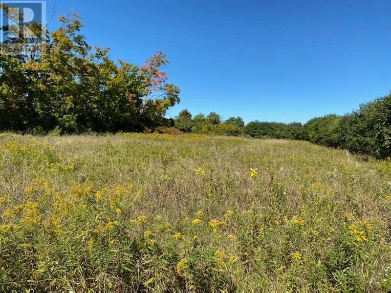 Listing E5783762 - Large Photo # 5