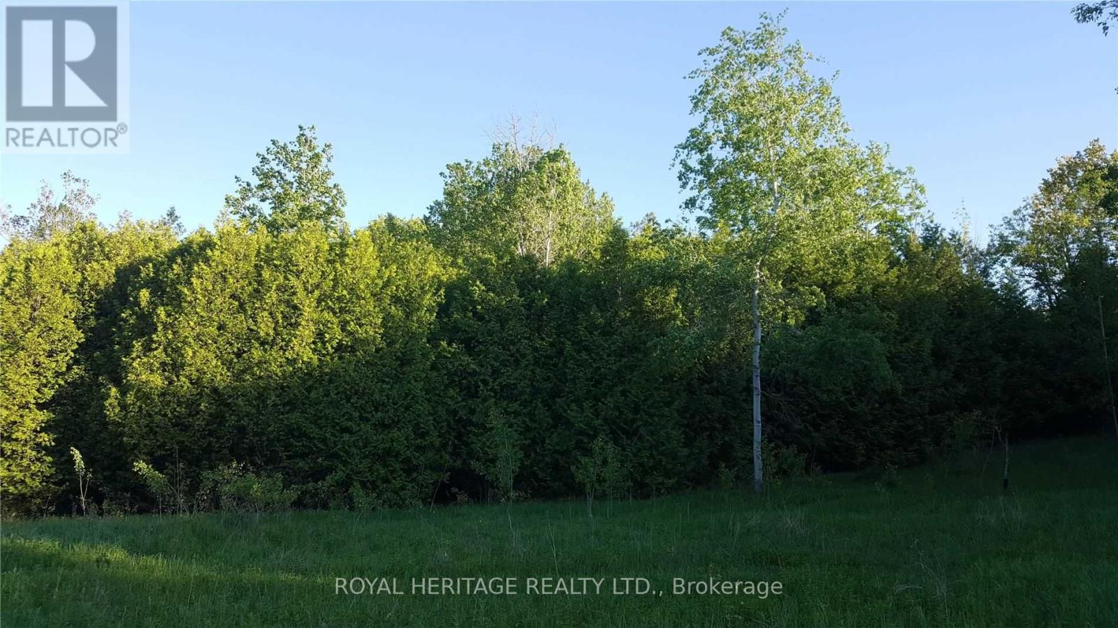 Listing E5784789 - Large Photo # 2