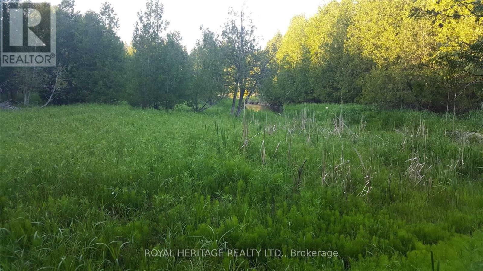 Listing E5784789 - Large Photo # 3