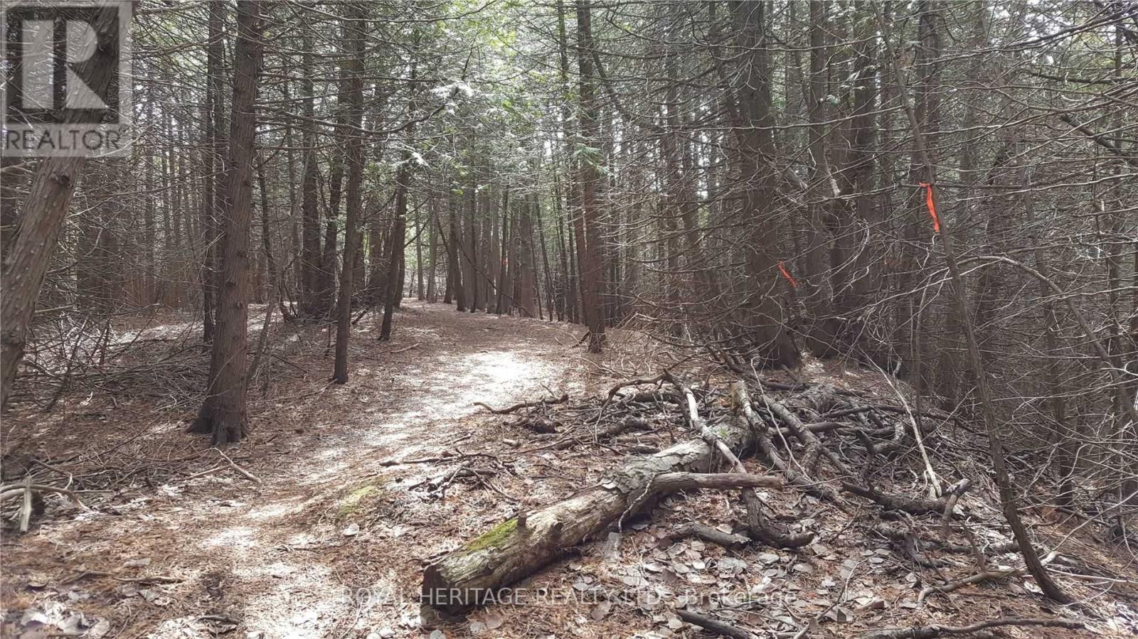 Listing E5784789 - Large Photo # 6