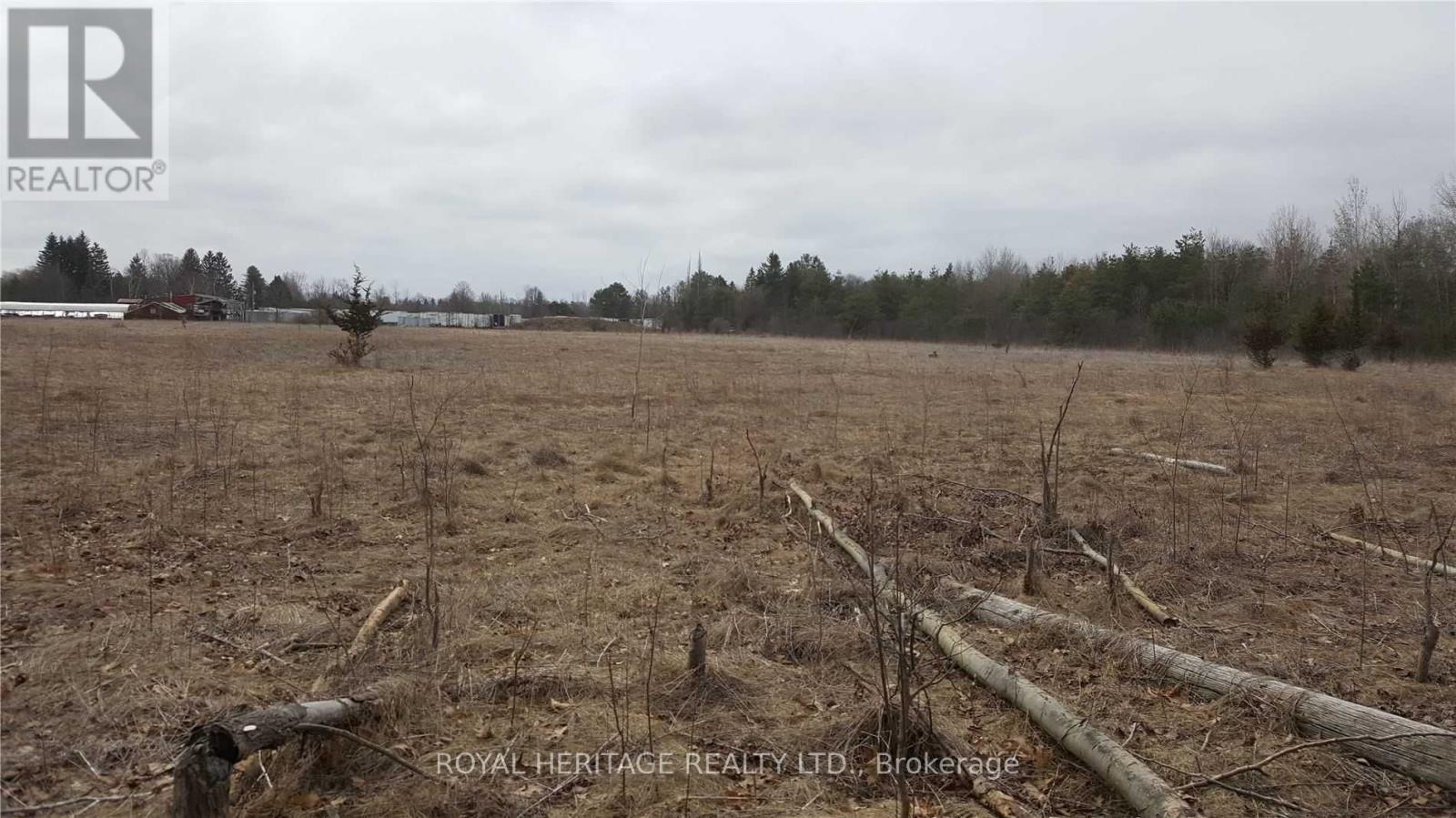 Listing E5784789 - Large Photo # 5