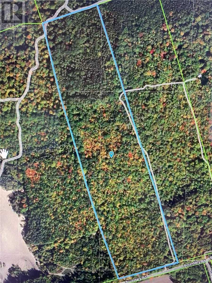 Listing E5924563 - Large Photo # 3