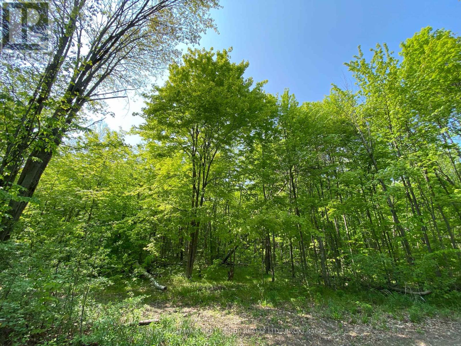 Listing E5924563 - Large Photo # 2