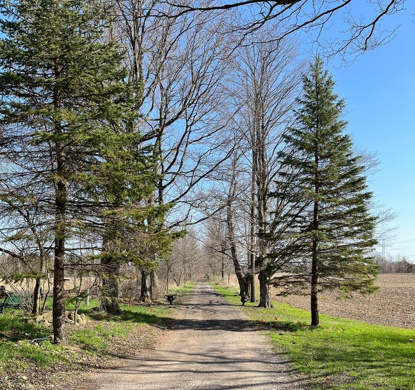 Listing H4133407 - Large Photo # 19