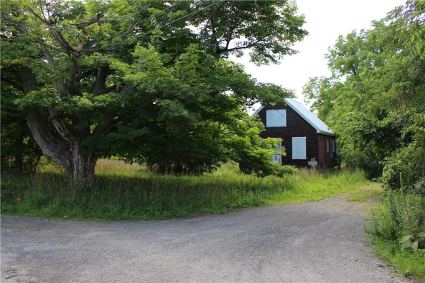 90 WEBSTER Road, Hamilton
