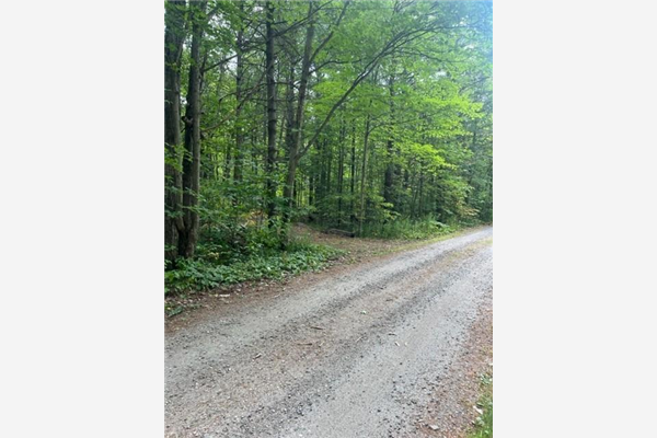 000 Green Place Road, Gravenhurst