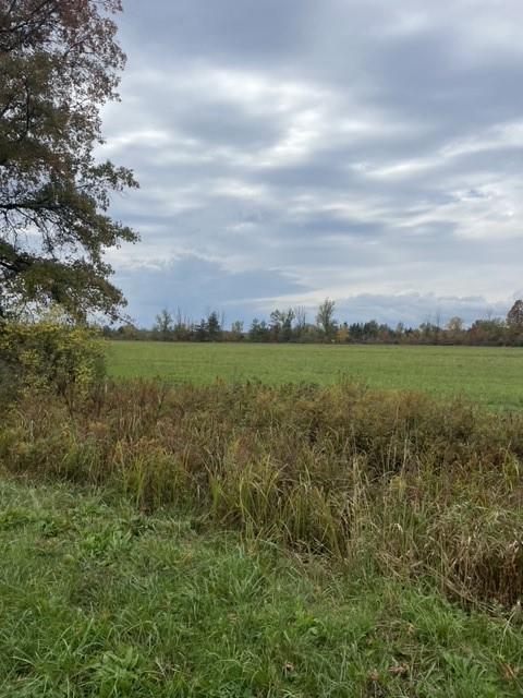 Listing H4148880 - Large Photo # 31