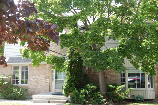 3333 NEW Street|Unit #74, Burlington