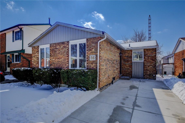 36 Bacall Crescent, Hamilton