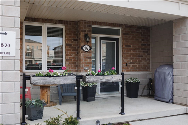 16 Daylily Lane, Kitchener