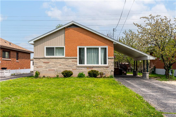 51 Radford Street, Hamilton