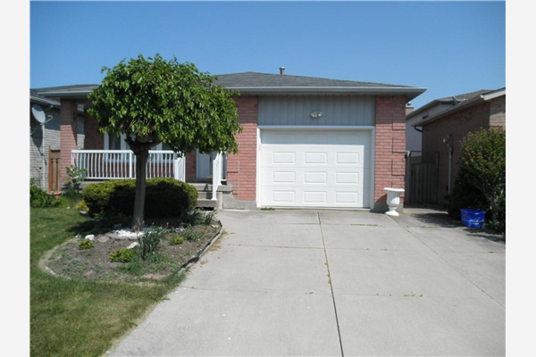 41 Cellini Avenue, Hamilton