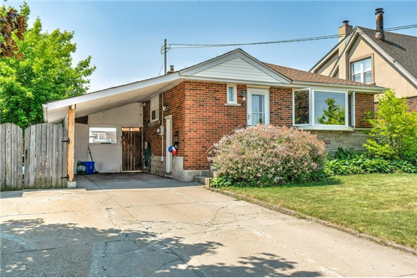 6 ENDFIELD Avenue, Hamilton