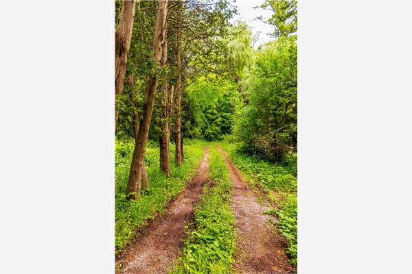 1004 Mineral Springs Road, Ancaster