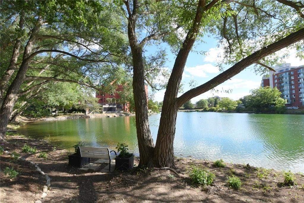 50 BLUE SPRINGS Drive|Unit #61
