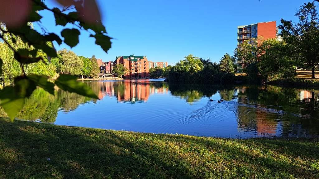 50 BLUE SPRINGS Drive|Unit #61