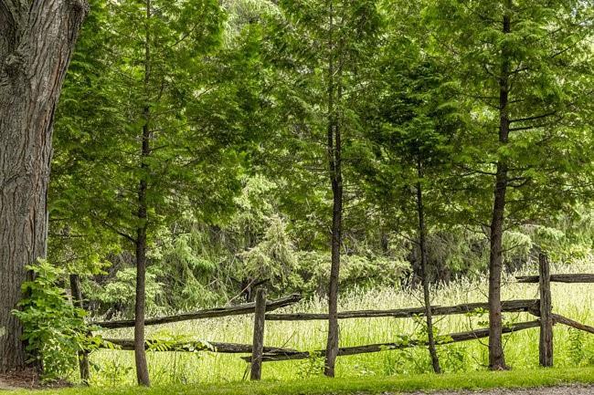 1376 MINERAL SPRINGS Road