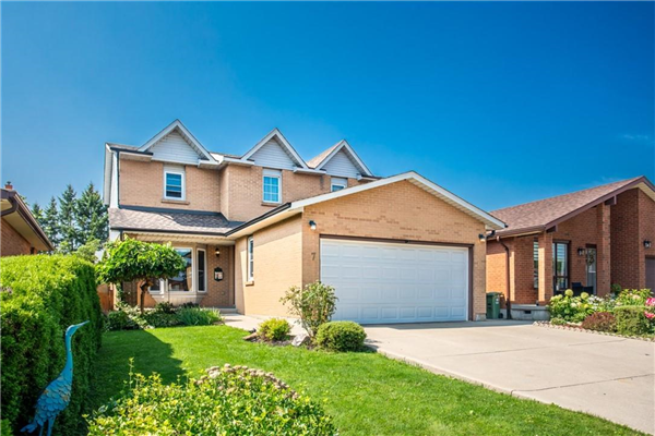 7 Kordun Street, Hamilton