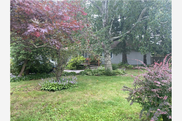 459 HAMILTON Drive, Ancaster