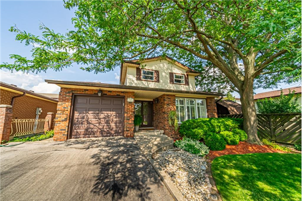 12 Pheasant Place, Hamilton