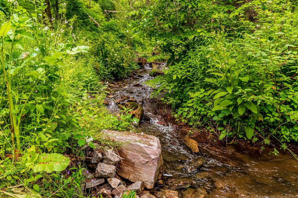 1004 Mineral Springs Road