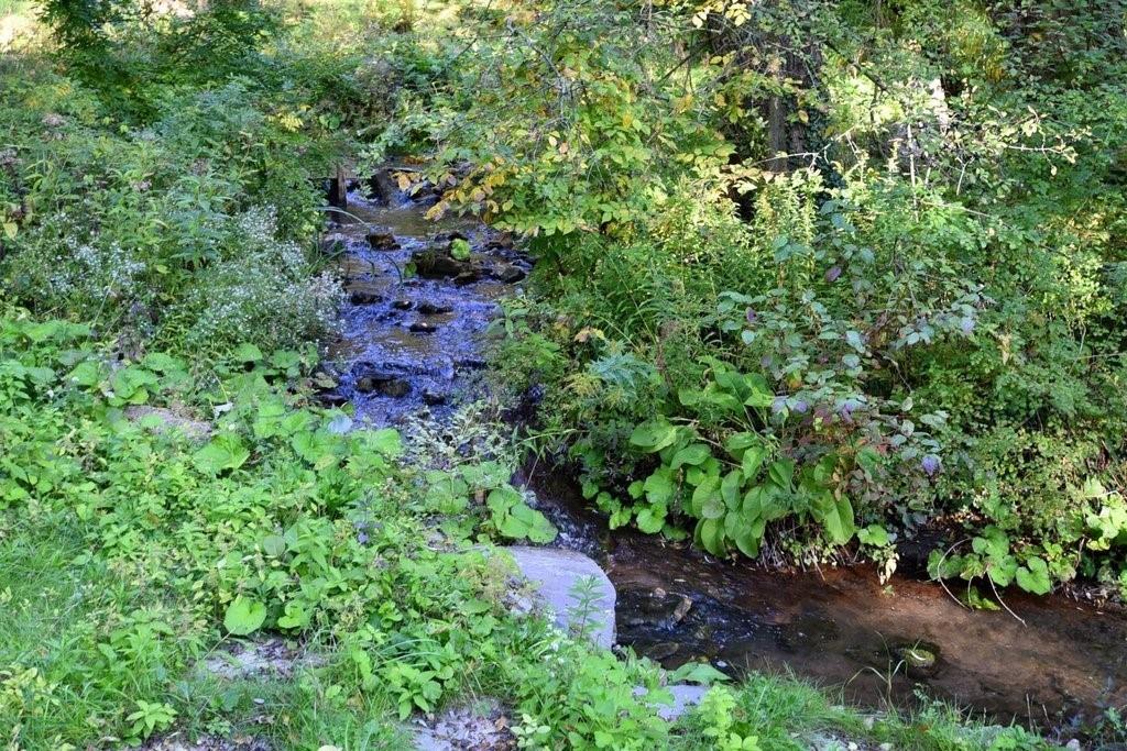 1004 Mineral Springs Road