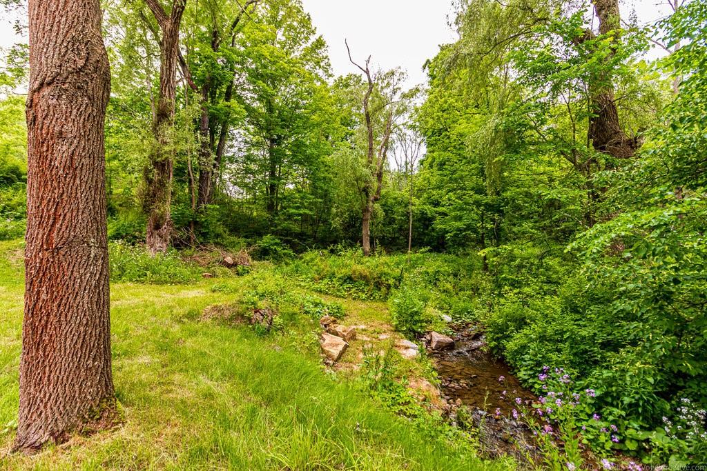 1004 Mineral Springs Road